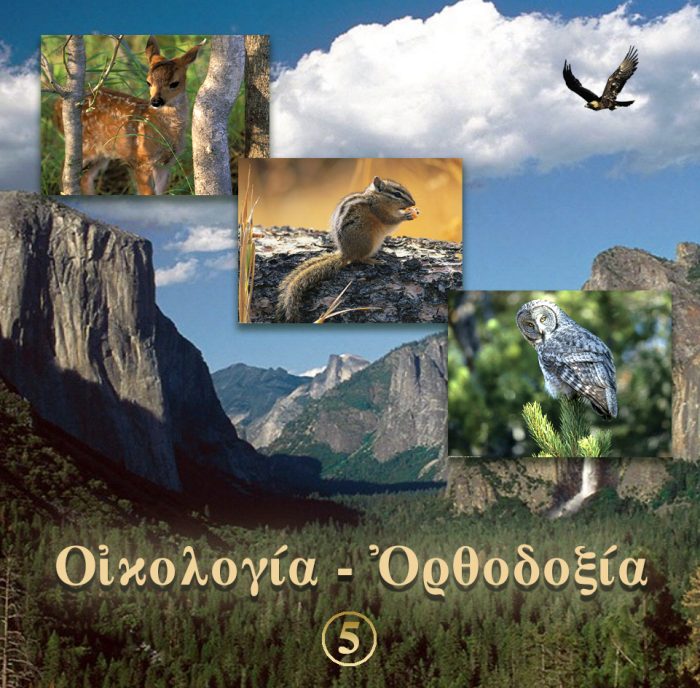 5.ΦΙΛΑΥΤΙΑ Η ΑΙΤΙΑ ΤΟΥ ΠΡΟΒΛΗΜΑΤΟΣ ΜΕΤΑΝΟΙΑ Η ΛΥΣΗ