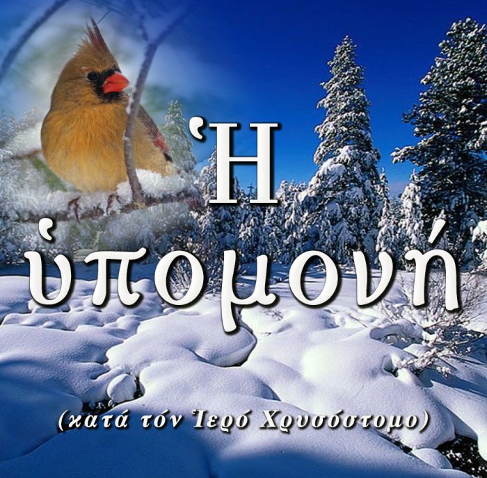 8.Η ΥΠΟΜΟΝΗ